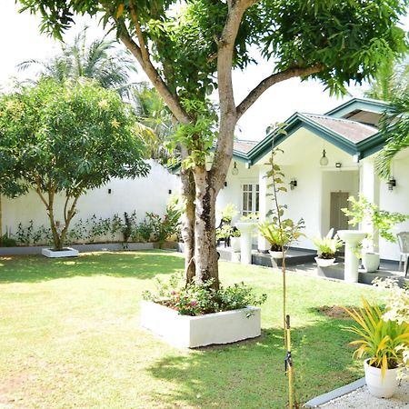 The Bamboo Tree Transit Hotel Katunayaka Exterior foto