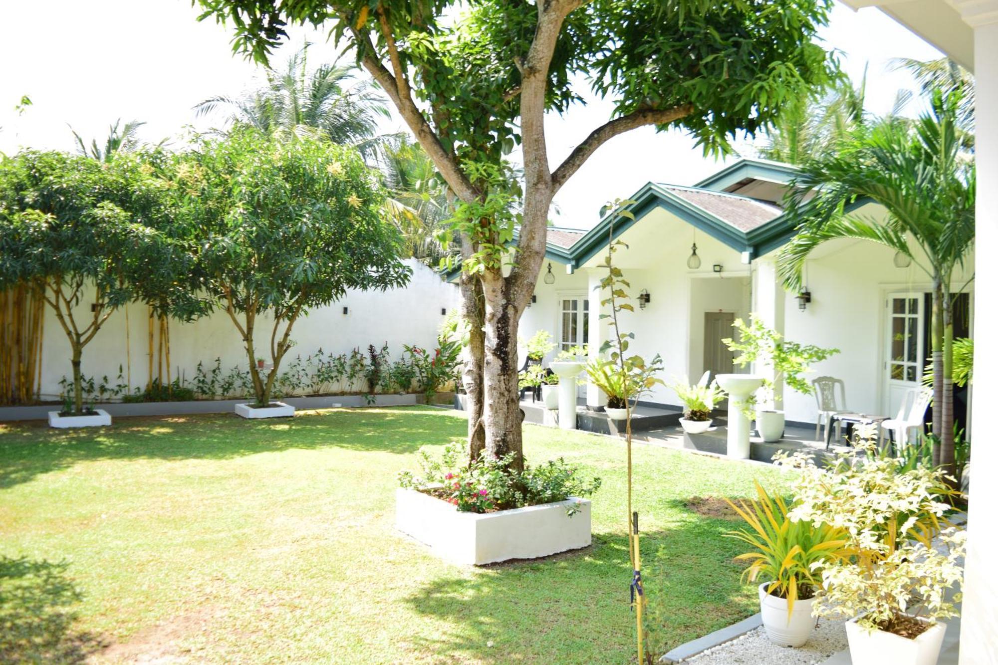 The Bamboo Tree Transit Hotel Katunayaka Exterior foto